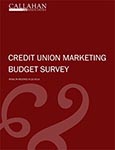 Marketing-Budget-Survey-1